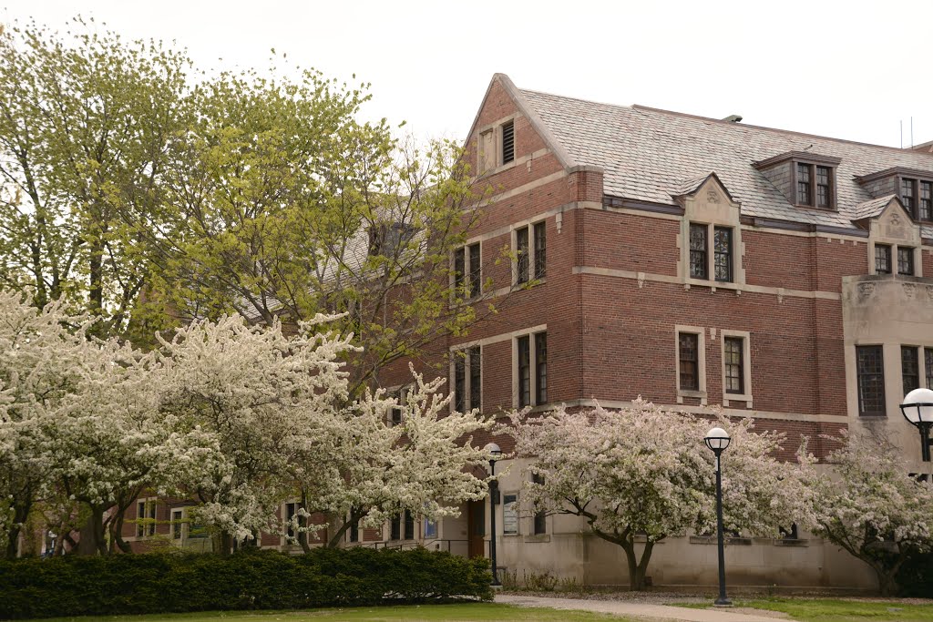 University of Michigan by plumgarden