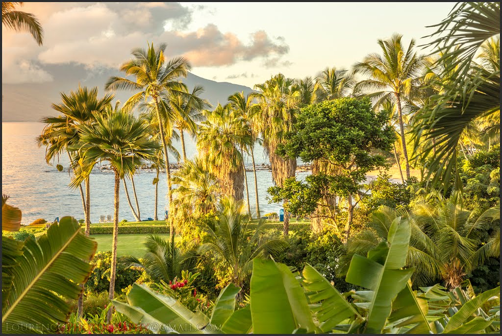 MAUI HAWAII WARM TROPICAL SUNSET COLORS by Deodato Lourenḉo