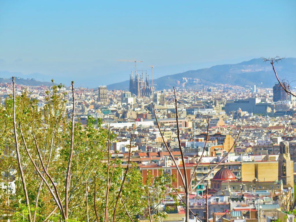 El Poble-sec, Barcelona, Spain by Míra Janoušek