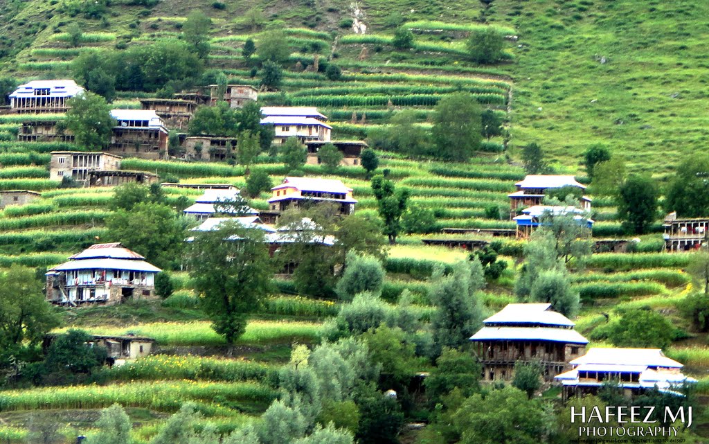 Neelam Vally by Ali Raza