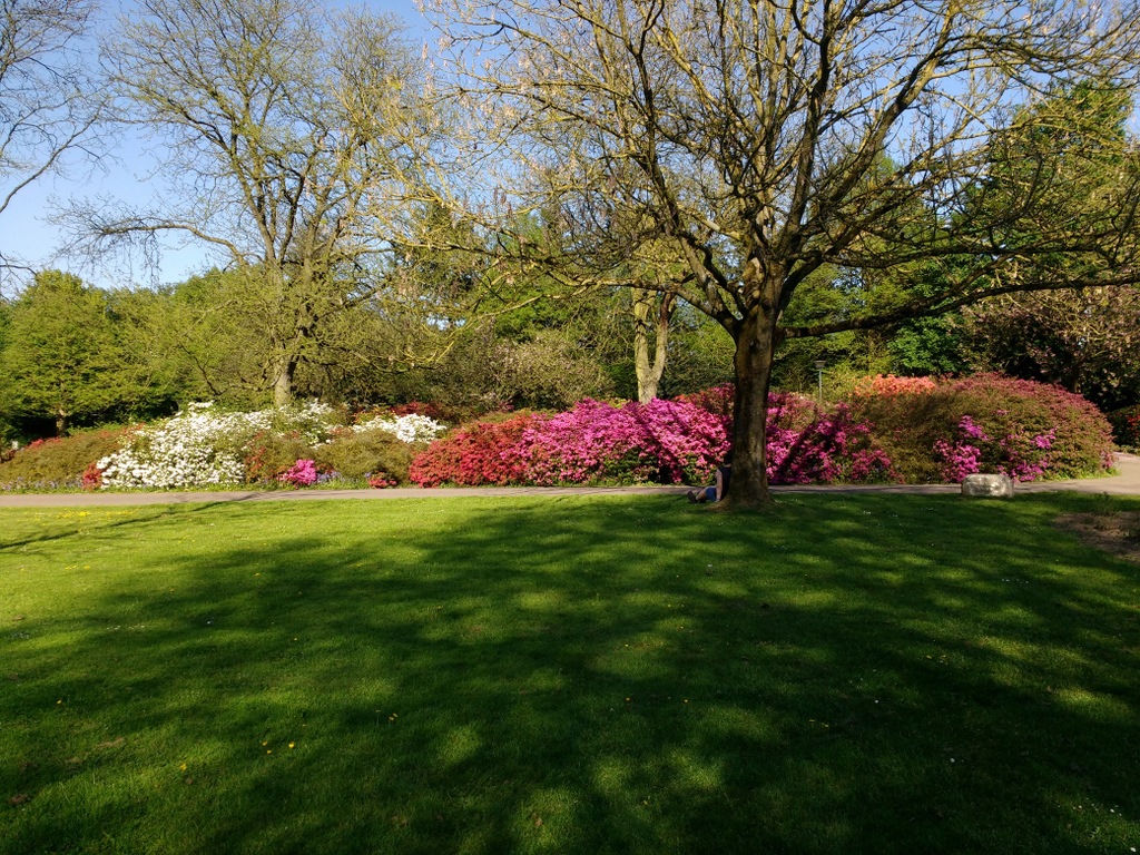 Park bij Nationaal Indië Monument by Har S