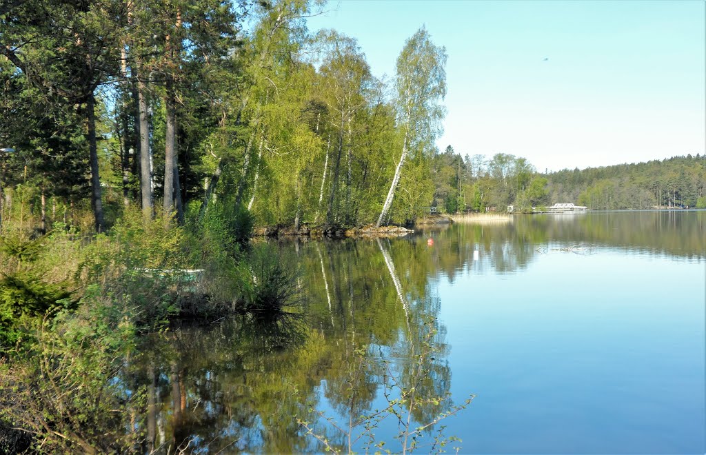 Haikari,Lohja by Matti Henrik