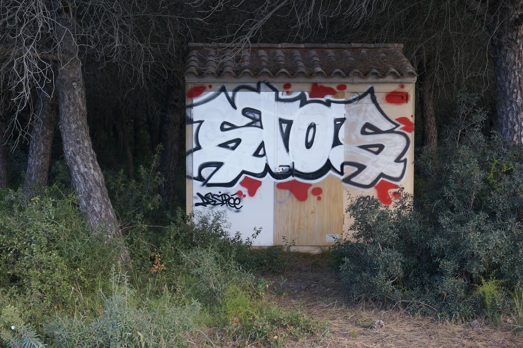 Graffiti Covering Electrical Substation - along RD114 - 20160426 by Dutch Niaja