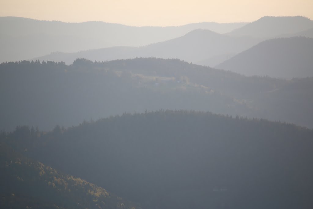 Parc naturel régional des Ballons des Vosges (Hohneck/ Réserve naturelle du Frankenthal-Missheimle) by © VDN