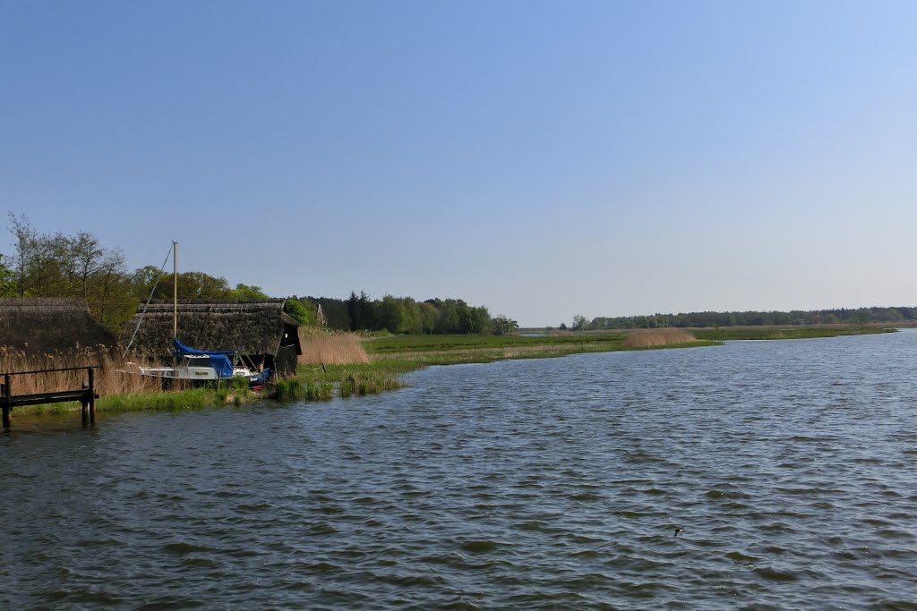 Bodden bei Prerow by Klaus Rüddenklau