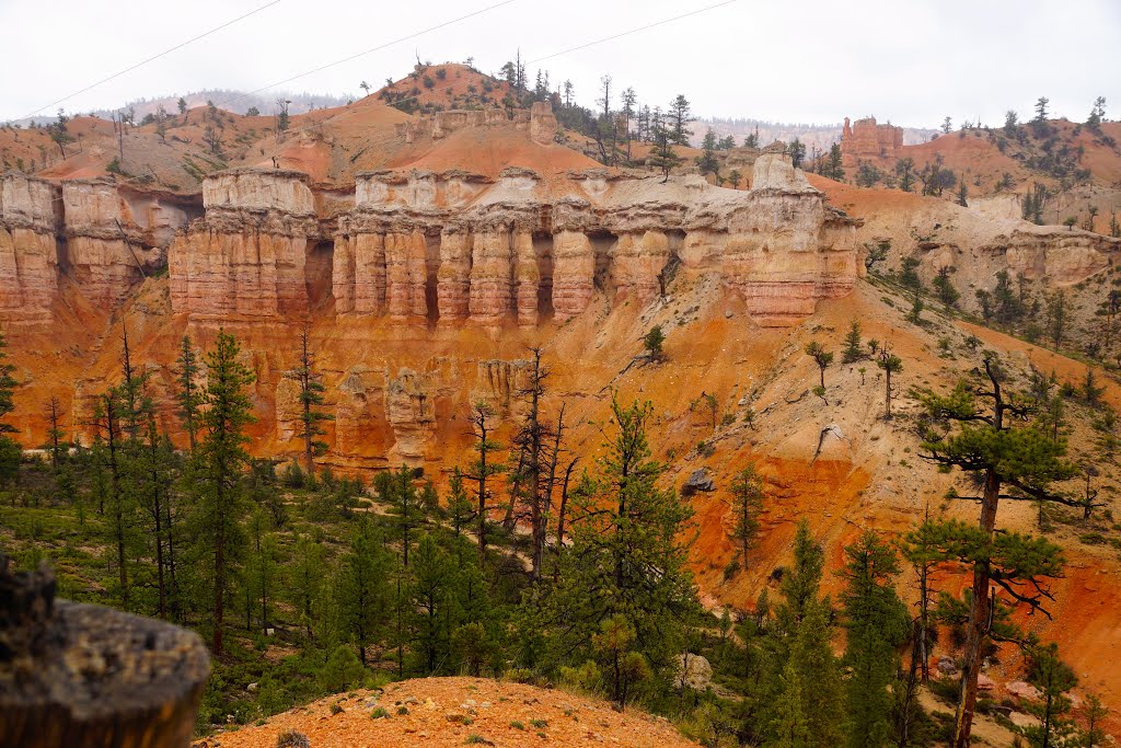 Bryce Canyon - Mossy Cave Trail by ea1494