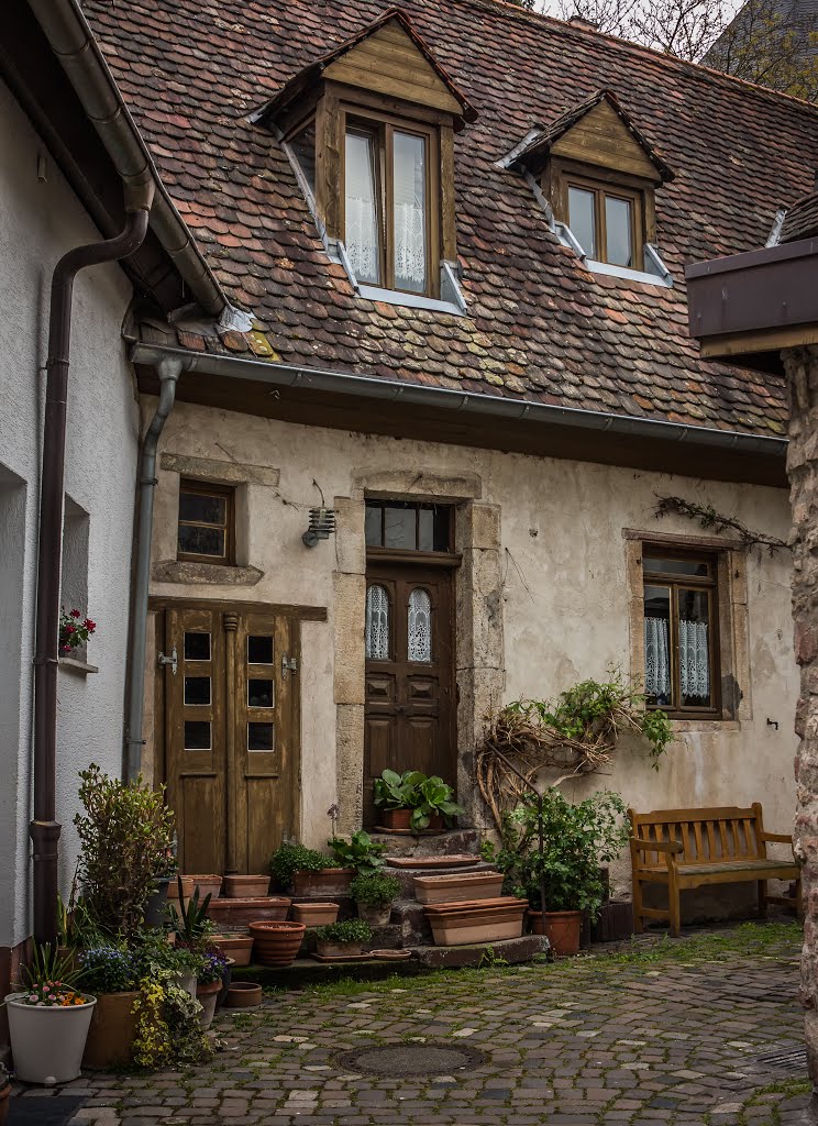 Speyer, Germany by Peter Downes