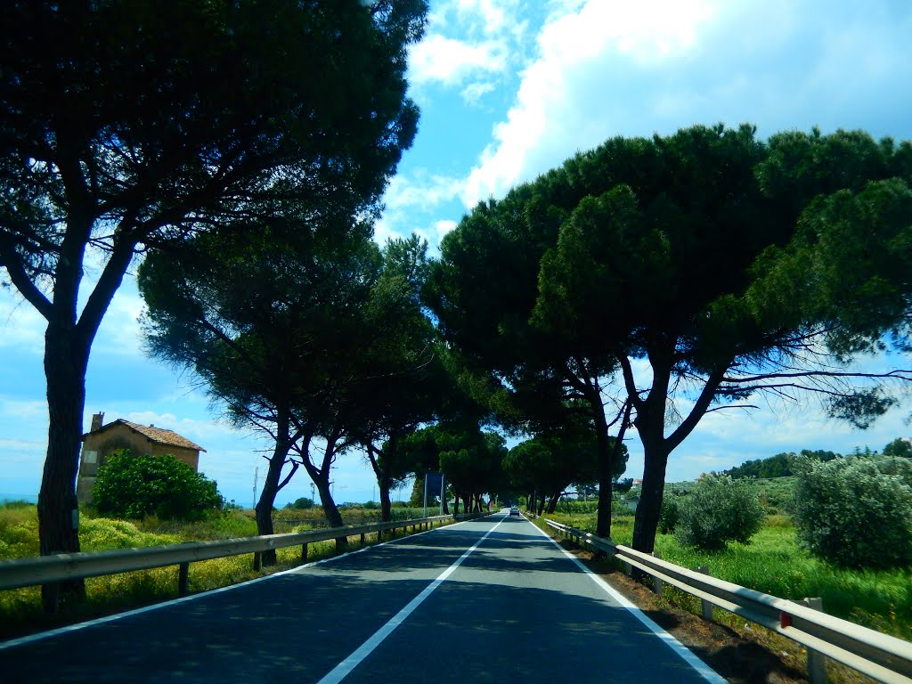 Calabria, Roseto Capo Spulico, Italia by Sandra Pires