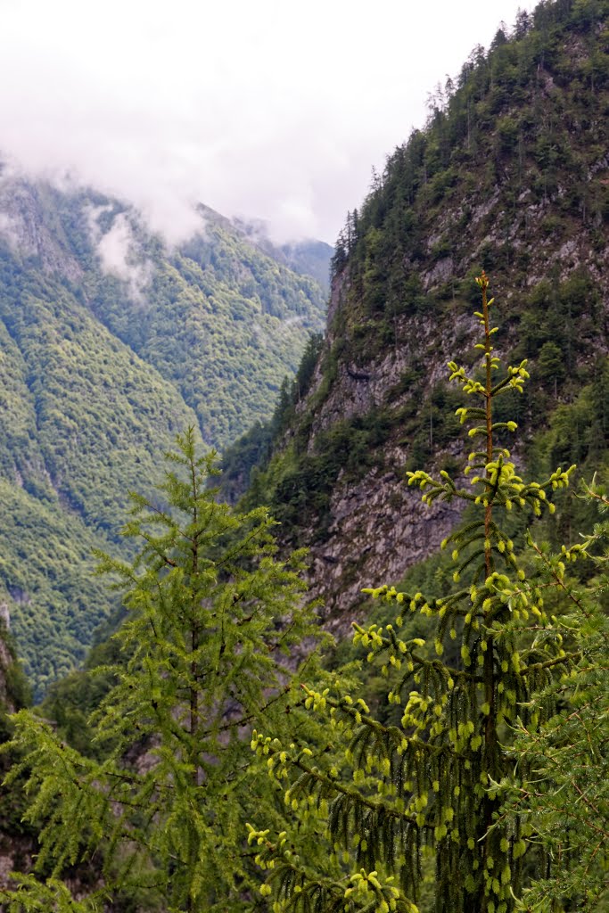 Near Lago di Sauris, Ampezzo, Udine by Jens Juhl