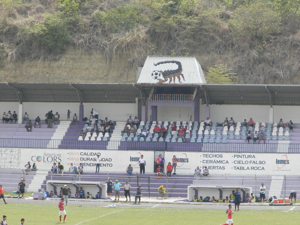 Tribuna numerada del estadio by JMRAFFi (JMRAFFi)