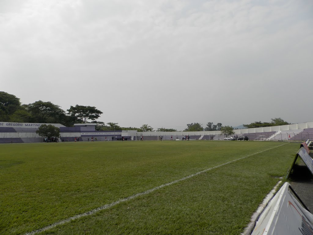 Césped natural estadio Gregorio Martínez by JMRAFFi (JMRAFFi)