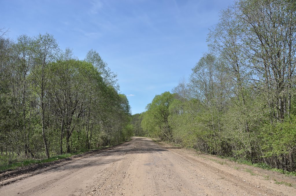 Road near Odintsovo village by IPAAT