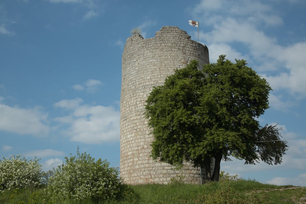 Turm im Frühling by FZW