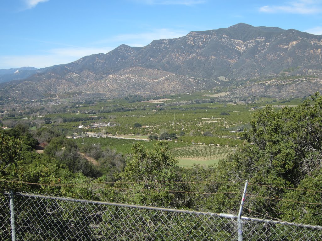 Ojai Valley by Fred Helfing