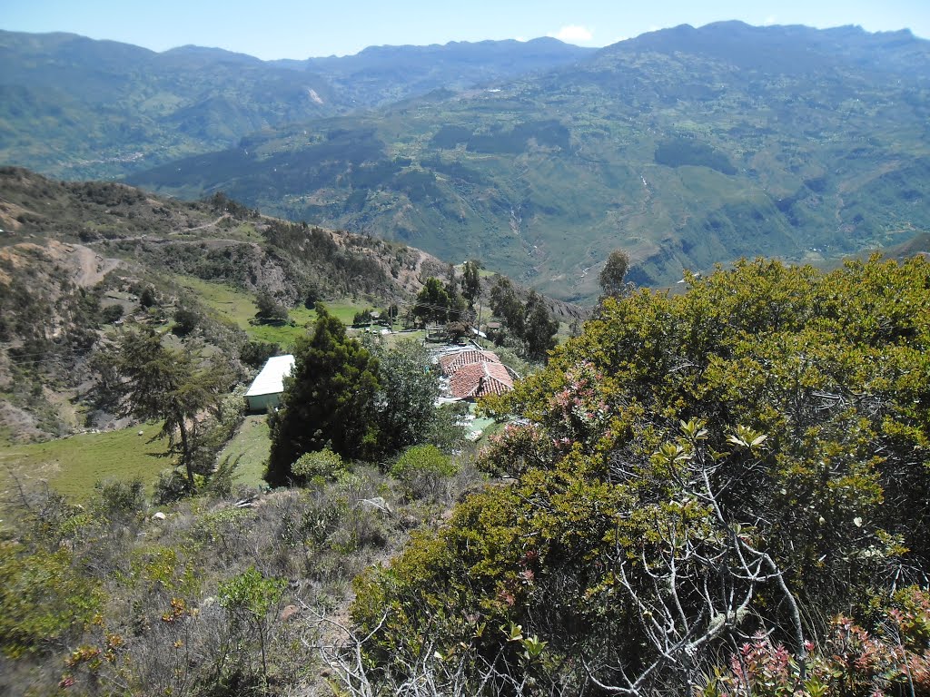 Finca las cuchillas by Luis Barajas 27