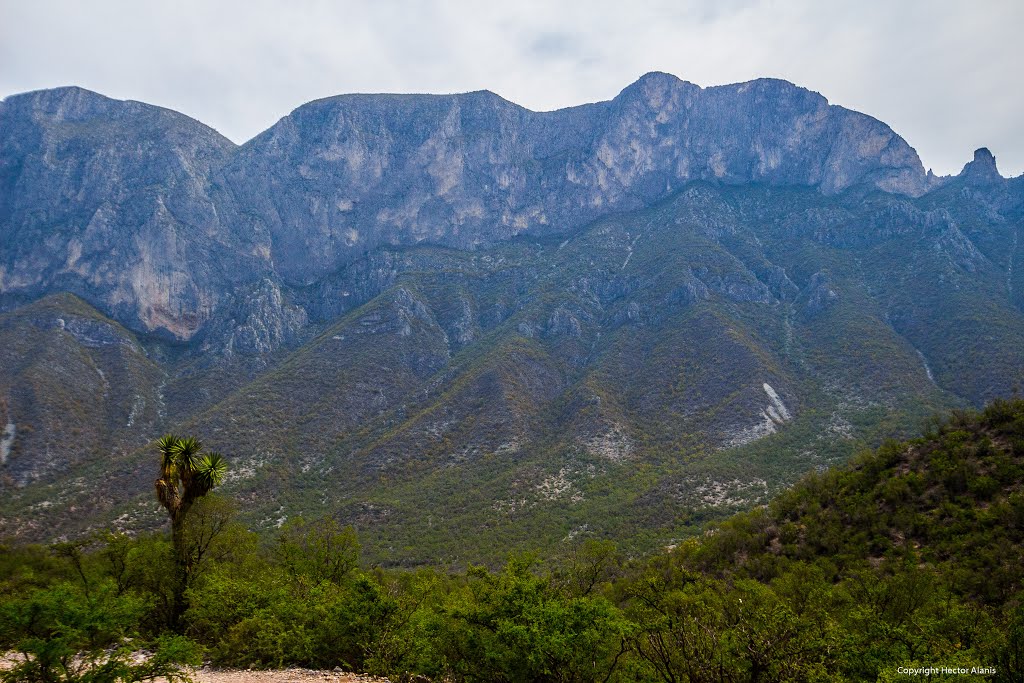 Potrero Chico. Hidalgo, Nuevo Leon. by Hector Alanis