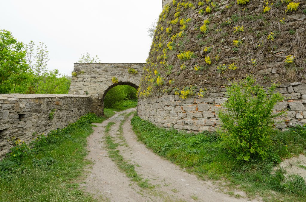 Stare Misto, Kam'yanets'-Podil's'kyi, Khmel'nyts'ka oblast, Ukraine by Сергей