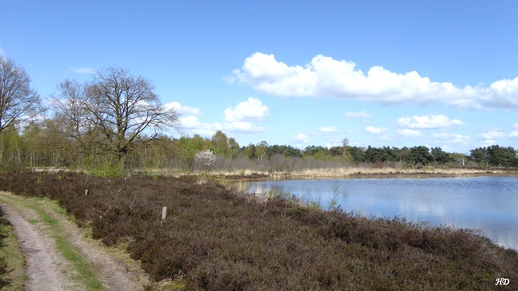 Niederlande-Lattrop-Breklenkamp - Naturschutzgebiet De Bergvennen (Sieben Seen). by Heribert Duling