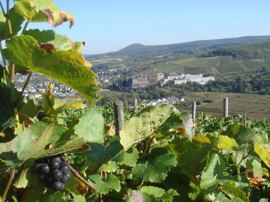 Blick ins Ahrtal by Rudolf Rupp