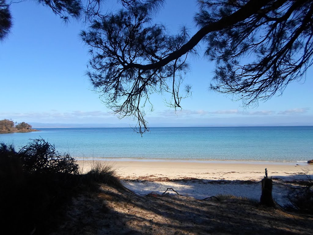 Cooks Beach by Josiah Gates