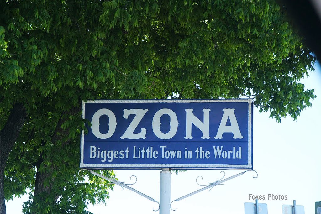 Ozona, TX 76943, USA by Sr. Fox