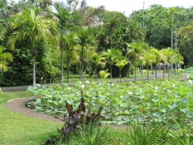 Botanická zahrada by caindro