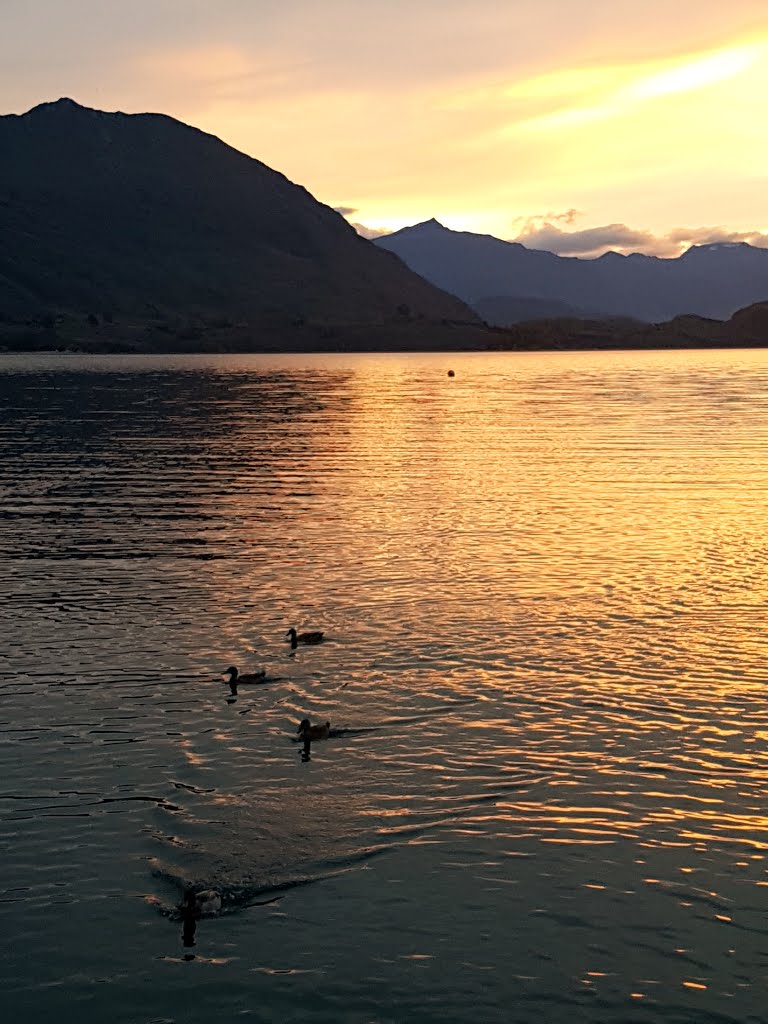 Sunset at lake wanaka by Eduardo Paez