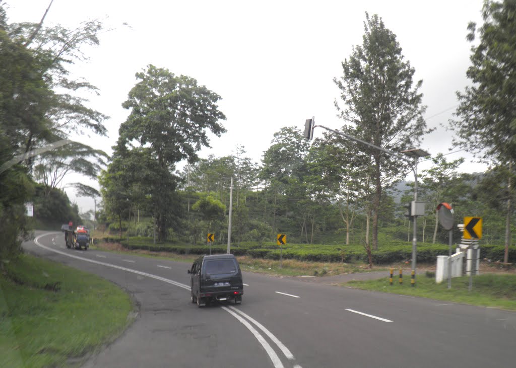 Jl. Raya G. Tangkuban Purahu Ciater West Java by tresna foto's