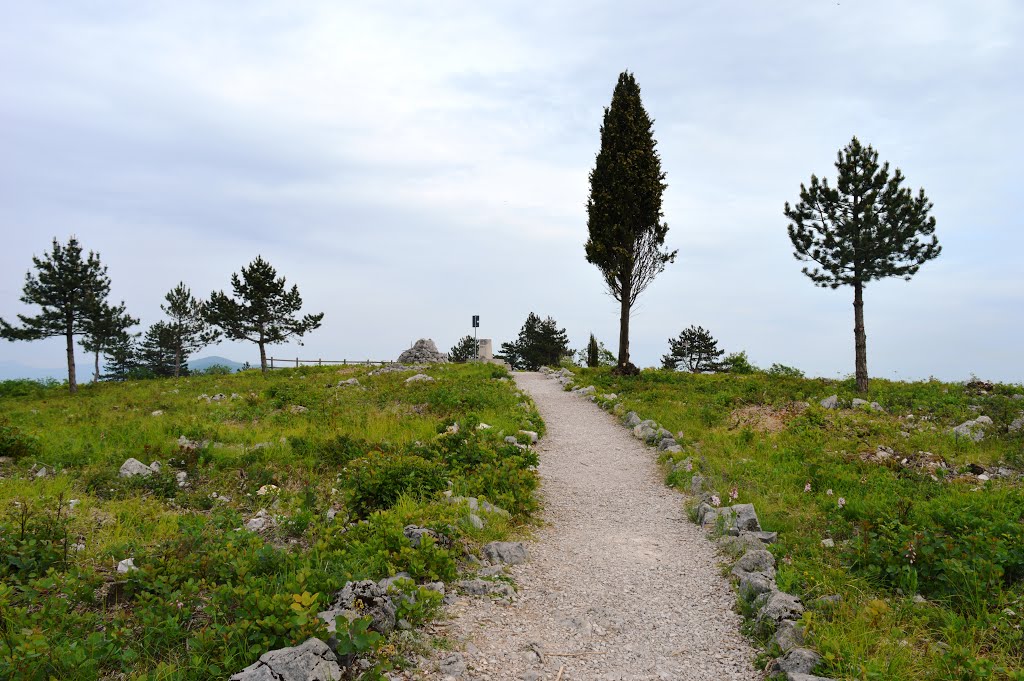 Monte San Michele by Geo S