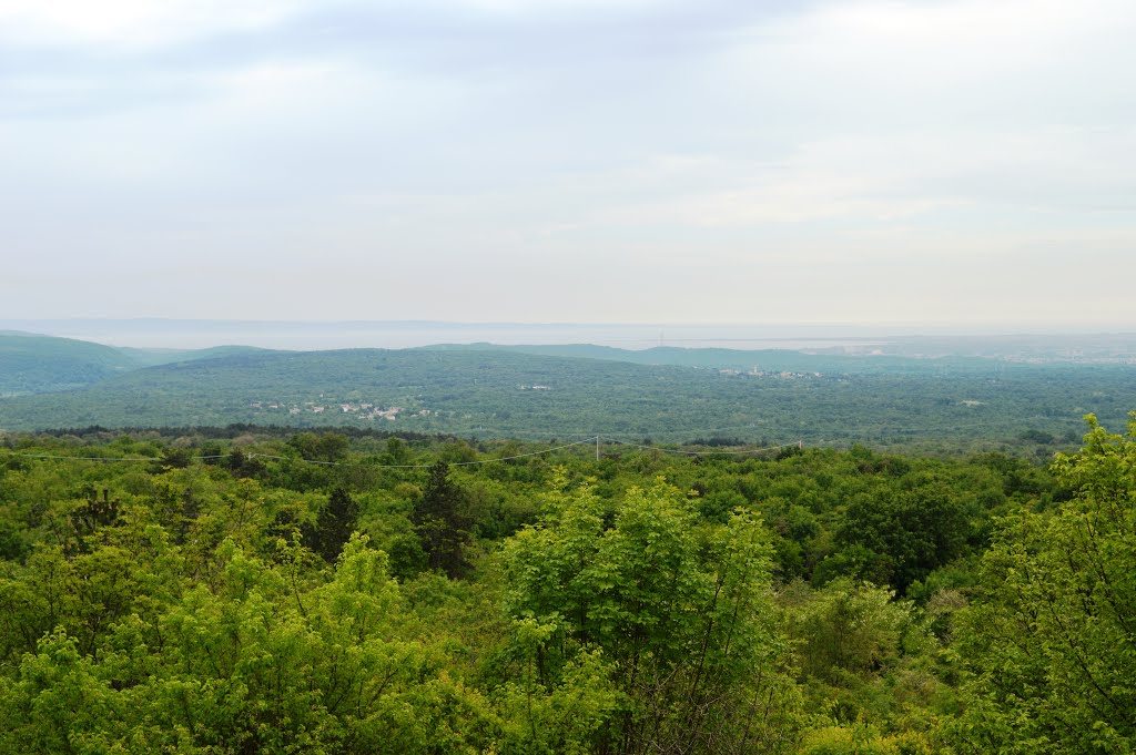 Panorama dal Monte San Michele by Geo S