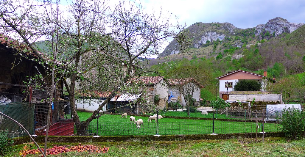 Soto de Agues by Carlos Gonzalez