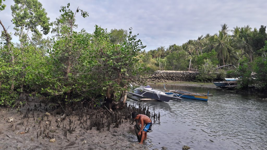 Guiwanon Cold Spring, Tabogon, Central Visayas, Philippines by Drew R