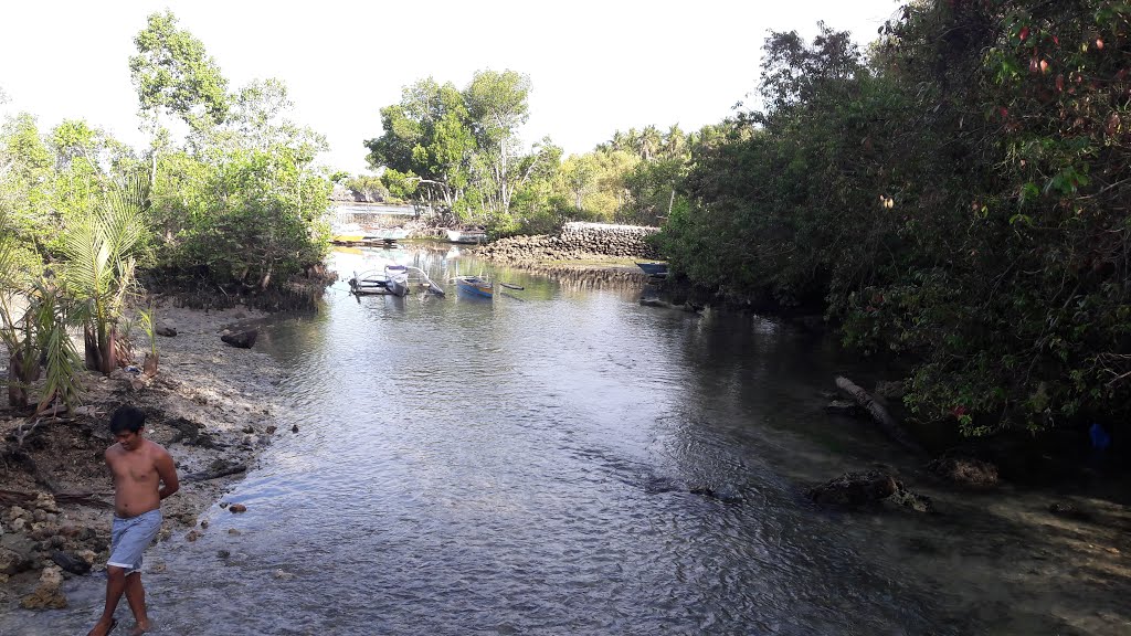 Guiwanon Cold Spring, Tabogon, Central Visayas, Philippines by Drew R