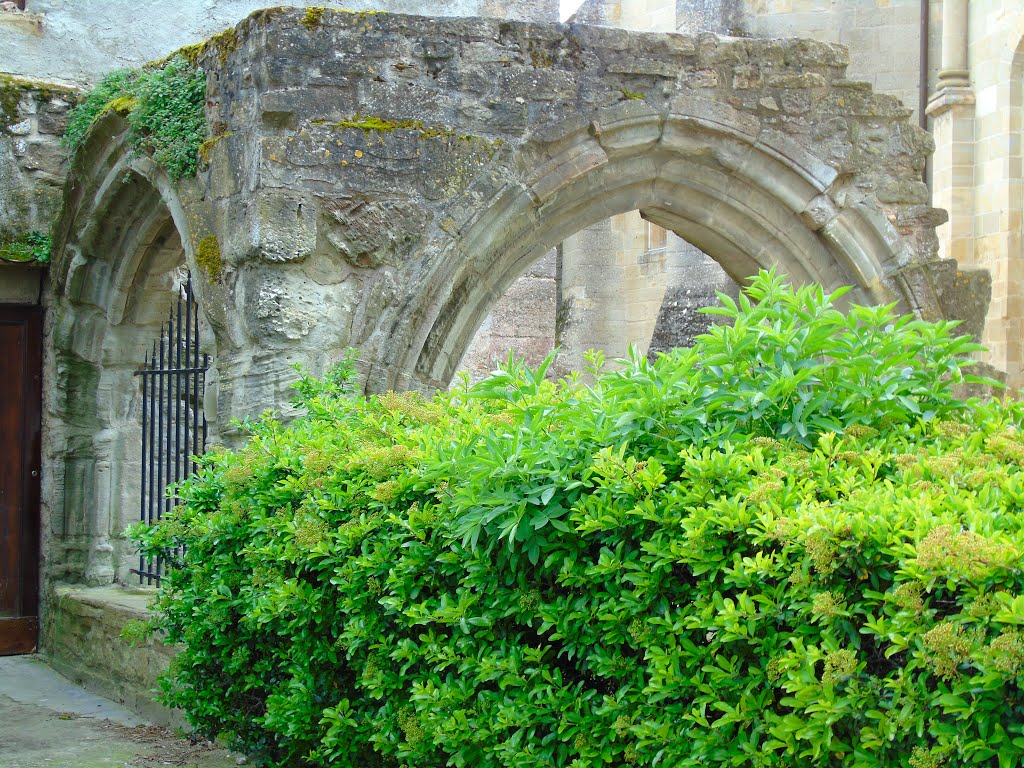 Abbaye de Saint-Papoul by zicx