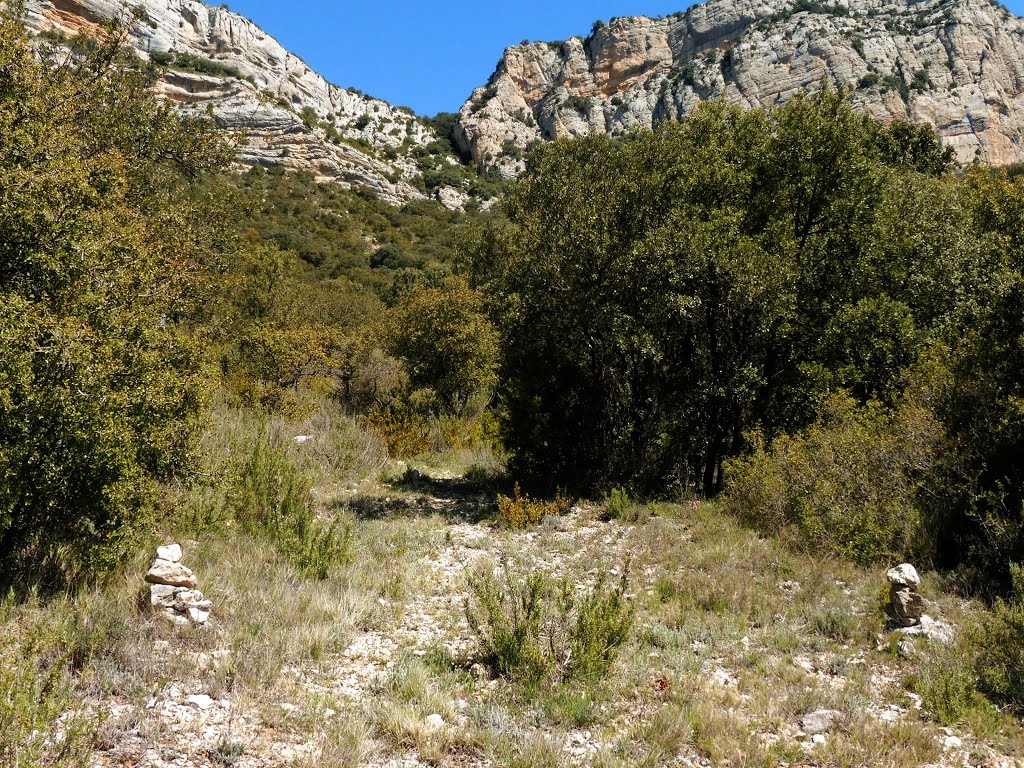 CAMÍ AL PAS DE NERILL by Isidre Blanc