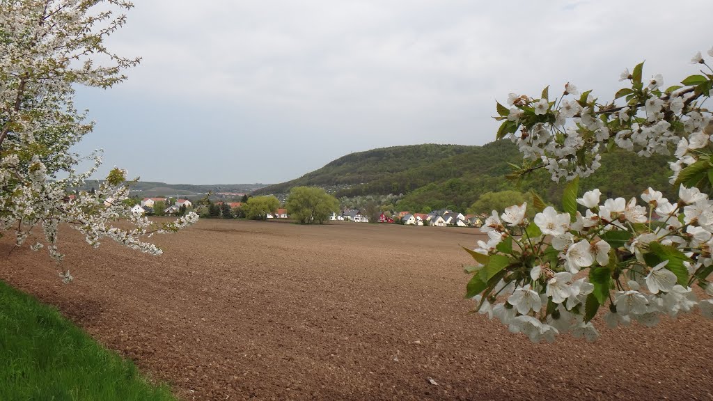 Freital, Germany by Uwe Limbach