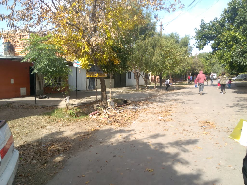 Villa Gdor. Galvez, Santa Fe, Argentina by Tori Dlr