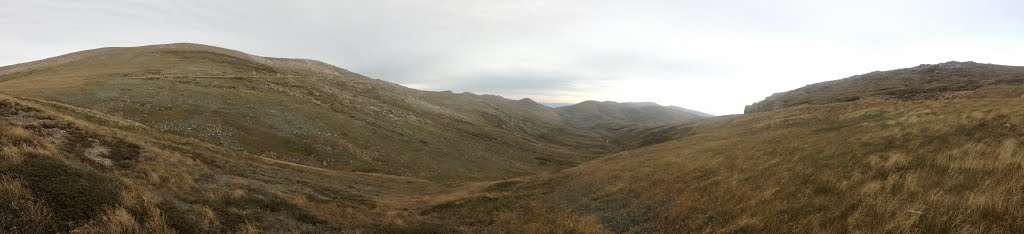 Kosciuszko National Park NSW 2627, Australia by Ché Lydia Xyang