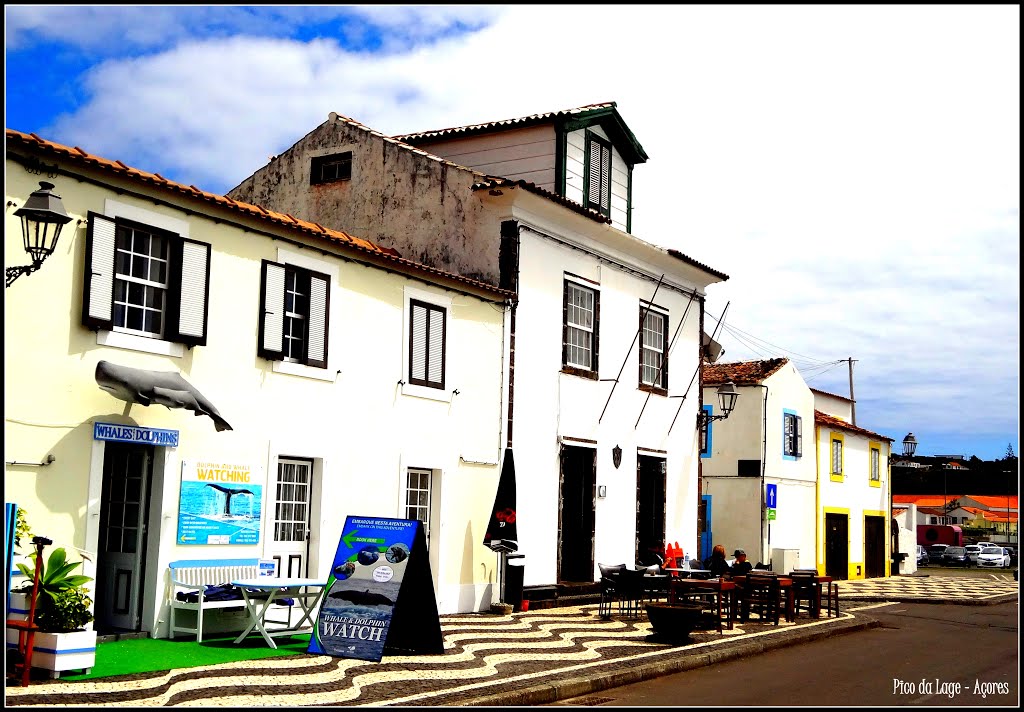 Lages do Pico -Açores by HJCarvalho