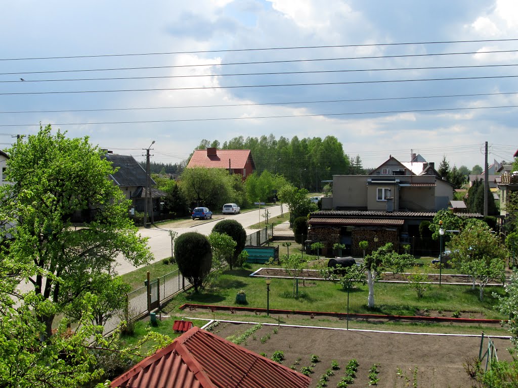 Na osiedlu domków jednorodzinnych w rejonie ulic Słonecznej, Topolowej, Zielonej i Kwiatowej by Ryszard W.