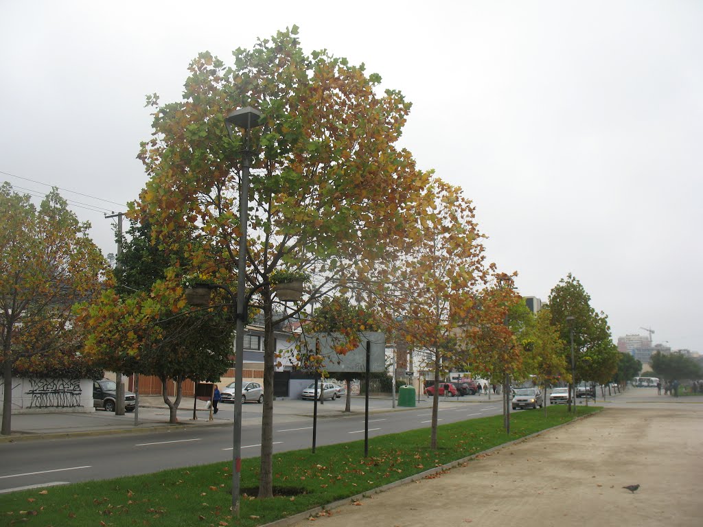 Paseo Jorge Santibáñez, Viña del Mar by Eugenio Aviles