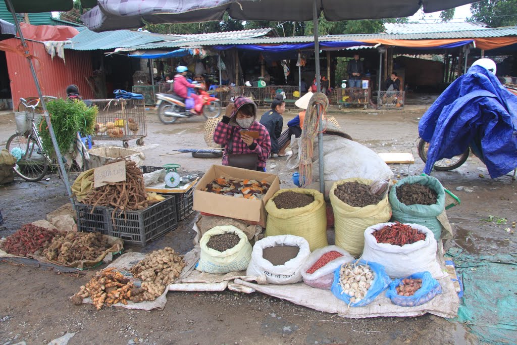 Mường Thanh, tp. Điện Biên Phủ, Điện Biên, Vietnam by Đăng Định