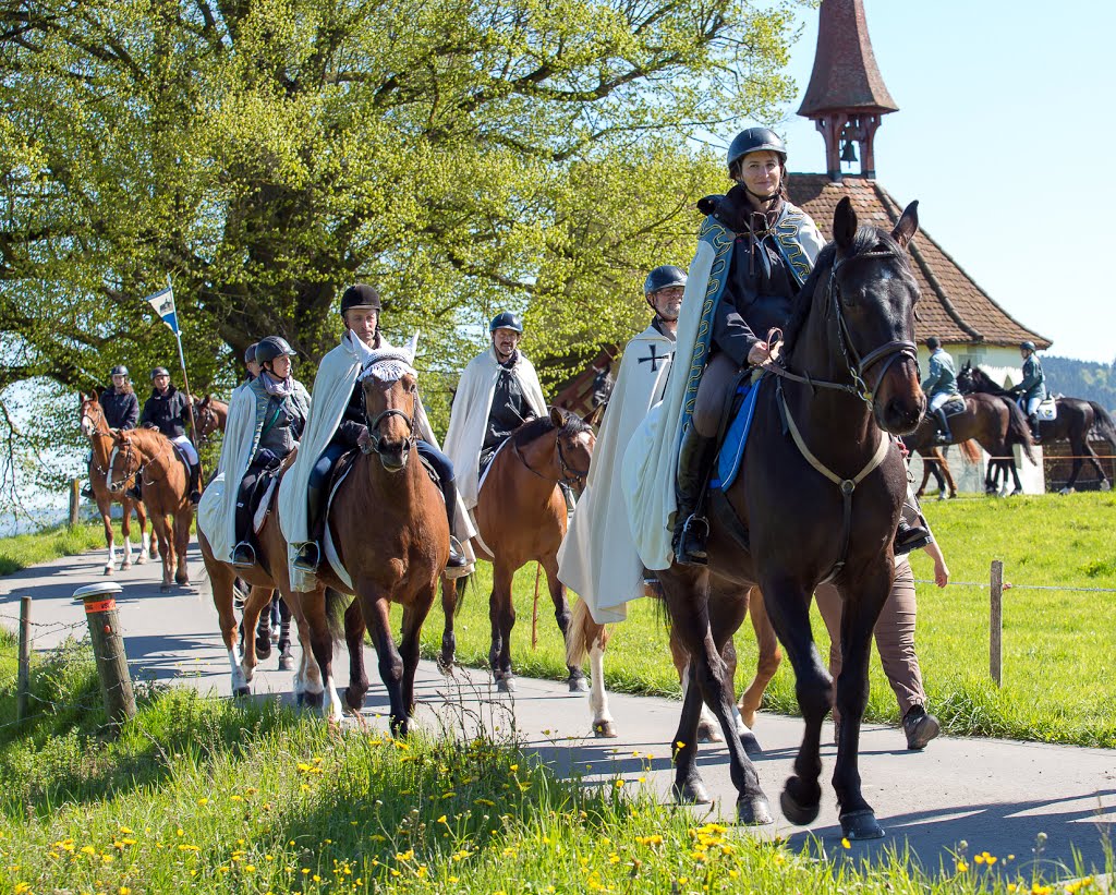 Momentaufnahmen Auffahrtsumritt Ettiswil 2016 by Priska Ziswiler