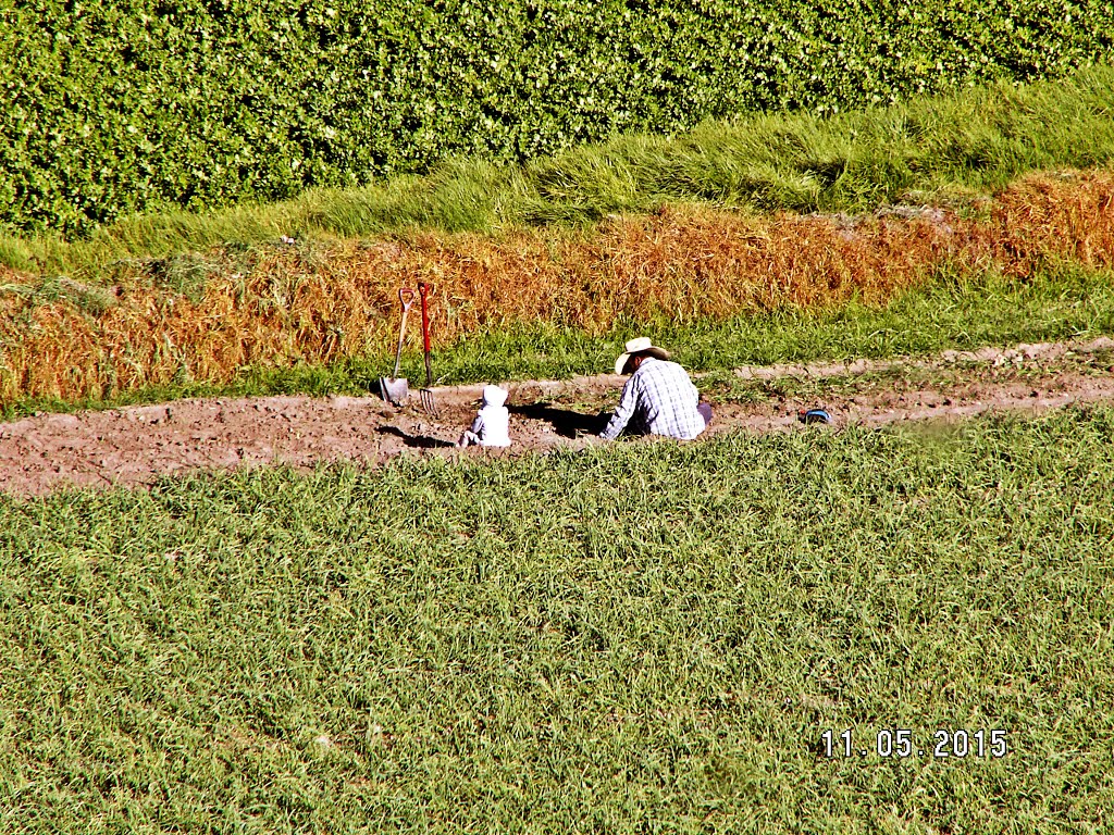 Los frutales, Arequipa, Peru by de jaxsun