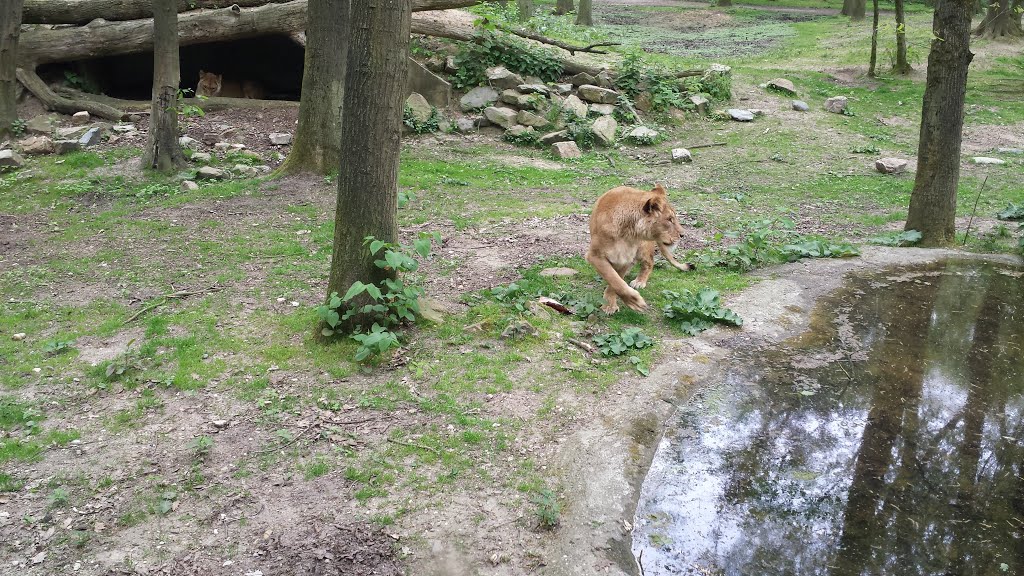 Burgers' Zoo @ Arnhem by XanderBW