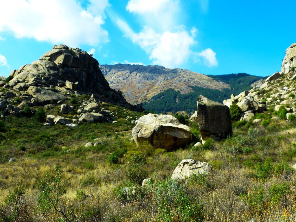 Valdemanco (Madrid). Camino del Medio Celemín. by benjamin M. M.