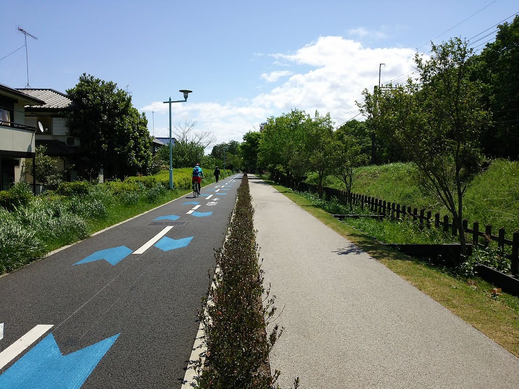 森の中の多摩湖自転車道　Lake Tamako Cycling Road in the woods. by Stokesia