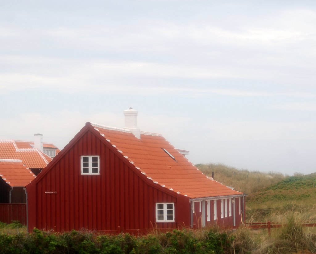 Højen Skagen by ravstrand