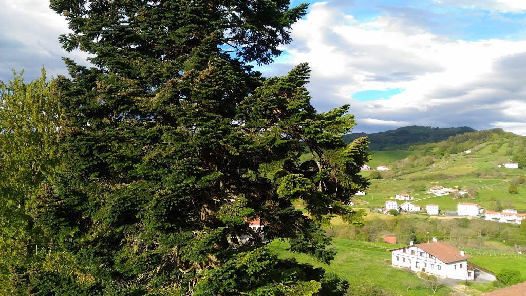 Bidania-Goiatz, Gipuzkoa, Spain by viajerocontinuo