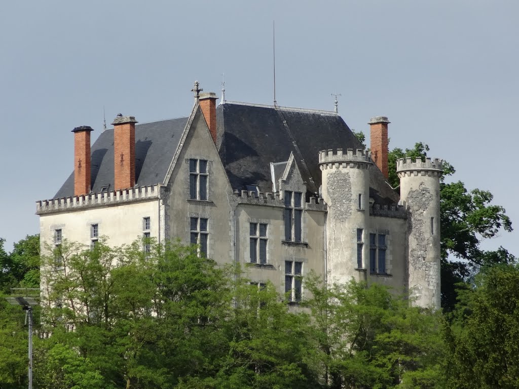 Le château du lion, monument historique by joel.herbez